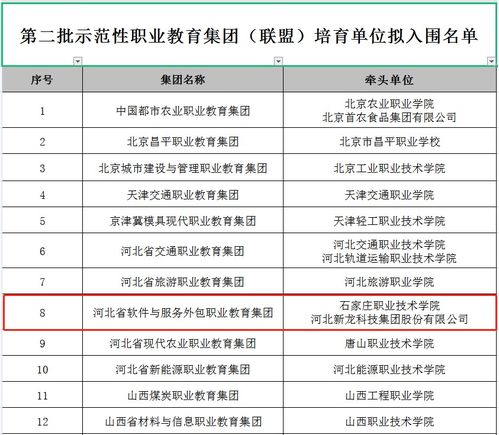 河北省軟件與服務(wù)外包職業(yè)教育集團(tuán)入選國(guó)家示范性職業(yè)教育集團(tuán)培育單位
